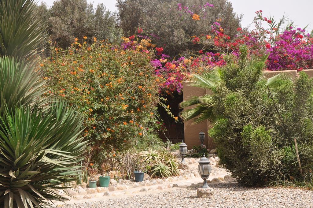 La Palmeraie De Massa Zaouit Massa Exterior photo